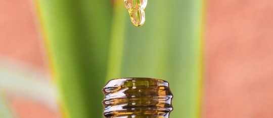 CBD